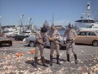 Click to watch 'Taking Its Toll' (popup) CHIPs